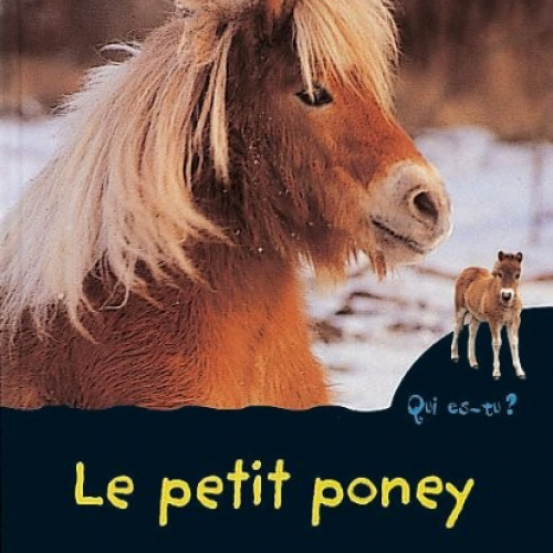 Qui es-tu ? Le petit poney