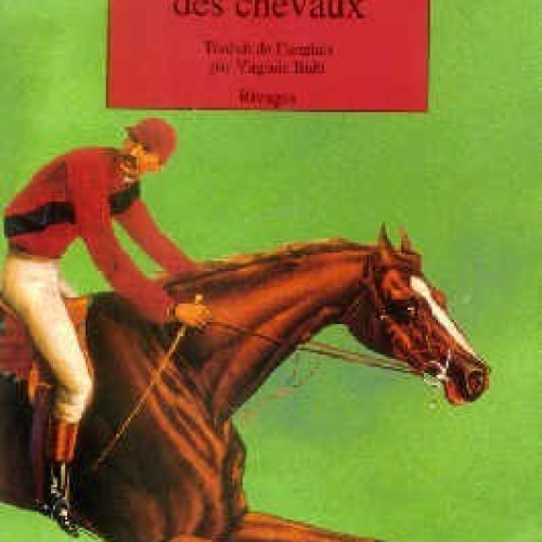 Le paradis des chevaux