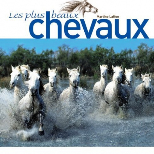 Les plus beaux chevaux