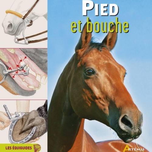 Les Équiguides, Pied et bouche