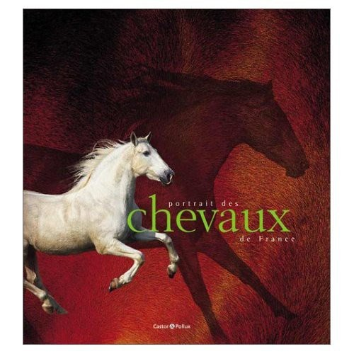 Portrait des chevaux de France