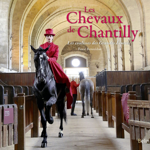 Les chevaux de Chantilly