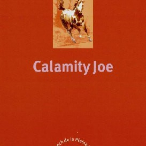 N°3 : Calamity Joe