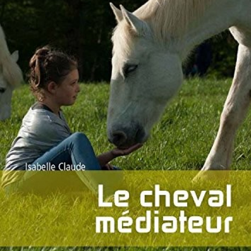 Le cheval médiateur