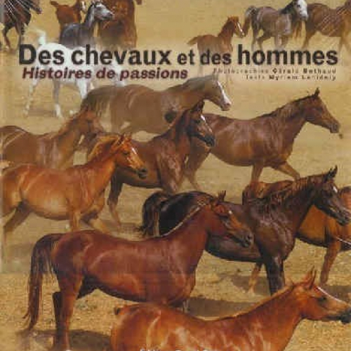 Des Chevaux et des Hommes -Histoire de Passions-