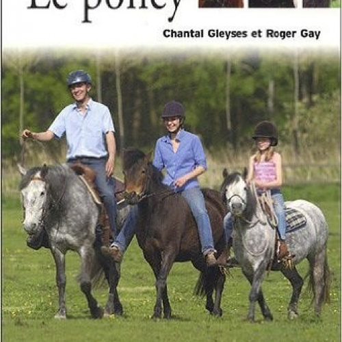 Tout savoir sur - Le Poney