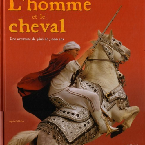 L'homme et le cheval