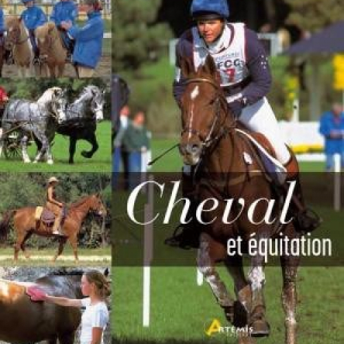 Cheval et Equitation