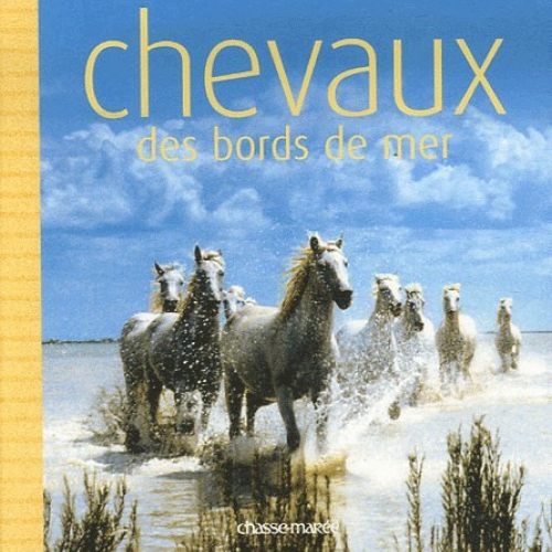 Chevaux des bords de mer