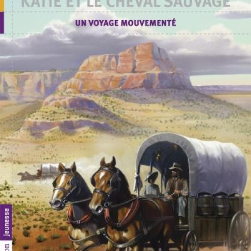 Katie et le cheval sauvage, Tome 2, Un voyage mouvementé