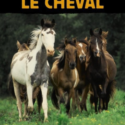 Le cheval  Patte à patte