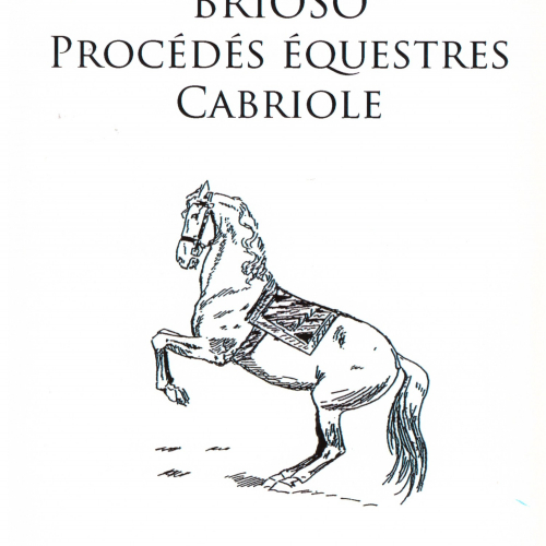 Brioso Procédés équestres Cabriole