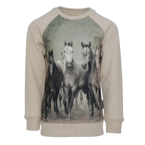 Sweat coton Enfant chevaux