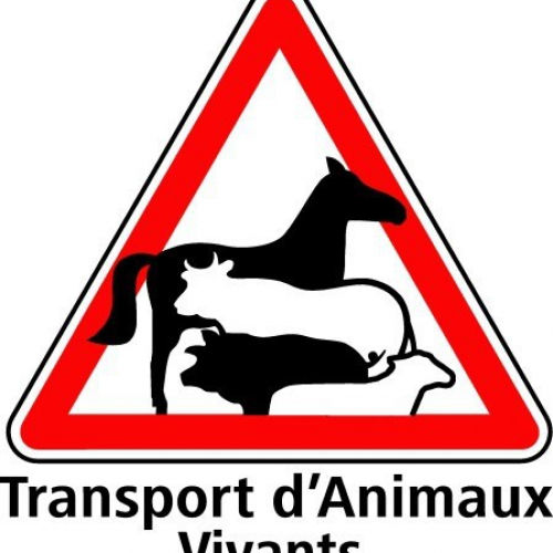 Plaque signalisation transport d'animaux vivants