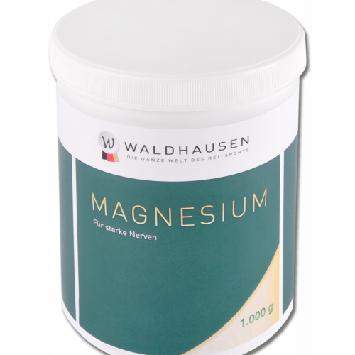 Magnésium en poudre 1 kg