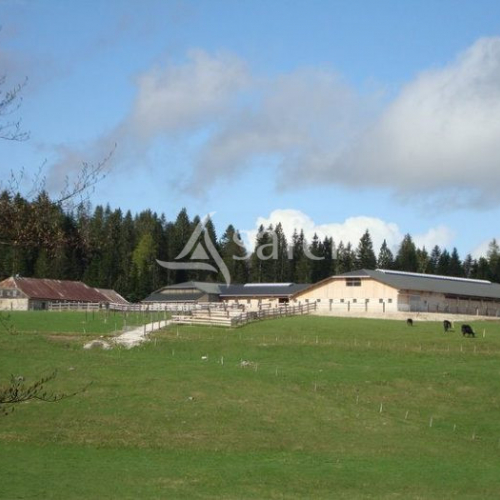 Centre équestre - Massif du Jura