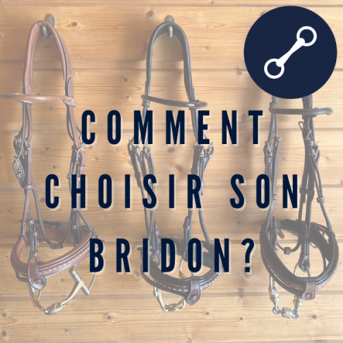 Comment choisir son Bridon?