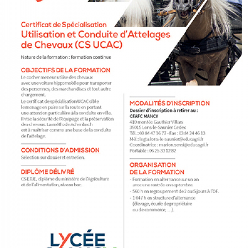 Certificat de Spécialité Utilisation et Conduite des Attelages de Chevaux