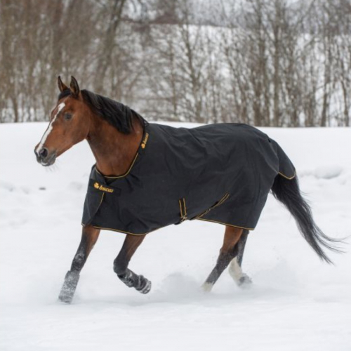 Couverture pré poney Bucas Irish Turnout Extra