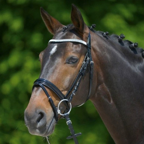 Bridon cheval cuir muserolle combinée X-Line Granada