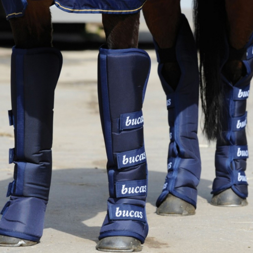 Guêtre de protection de transport cheval - 2000 Travel boots x 4 - Bucas