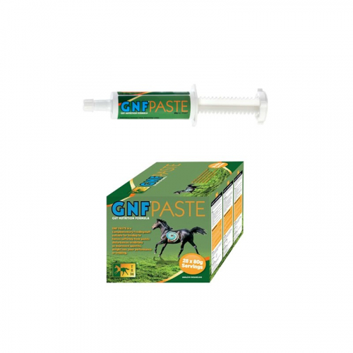 GNF Trm Digestion cheval  Seringue