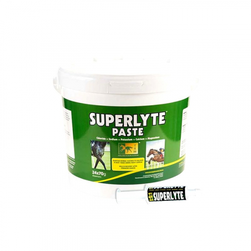 Electrolytes rapides en 24 seringues de 70g Superlyte TRM