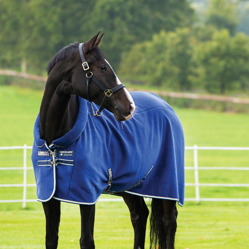 Chemise polaire cheval Rambo Cosy Fleece Horseware