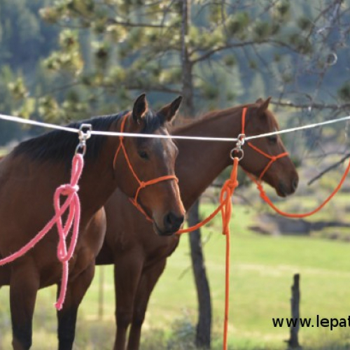 Kit attache 4 chevaux