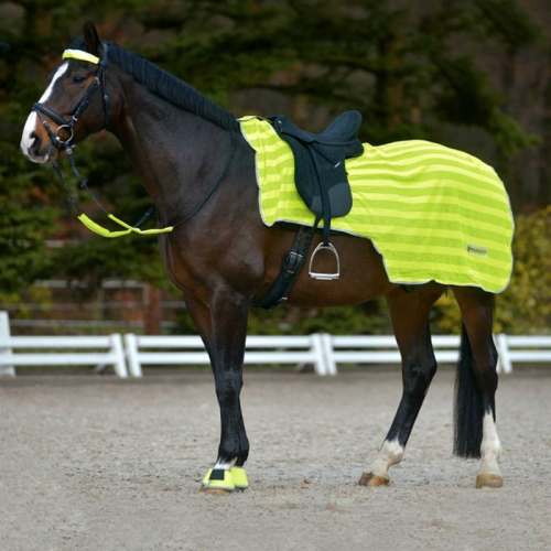 Couvre reins fluo cheval Reflex