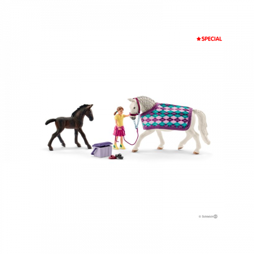 Kit de jeu soin pour Lippizans Schleich