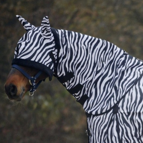 Camail anti mouche cheval Zebra