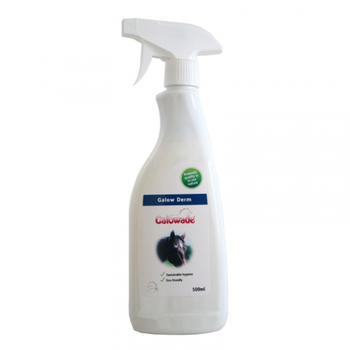 Galow Derm Solution estivale cheval