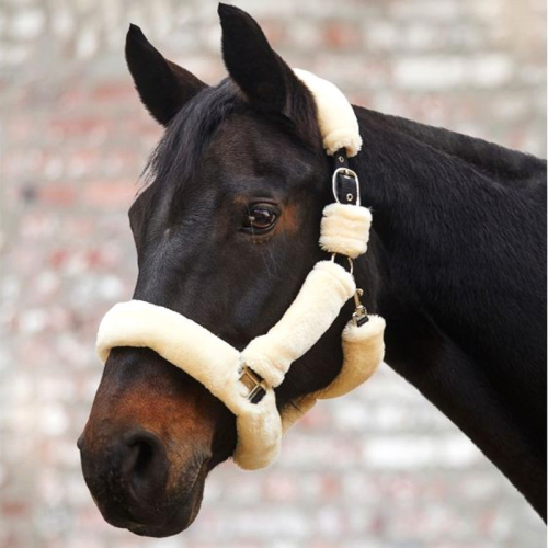 Licol nylon cheval en mouton Complet Cosy