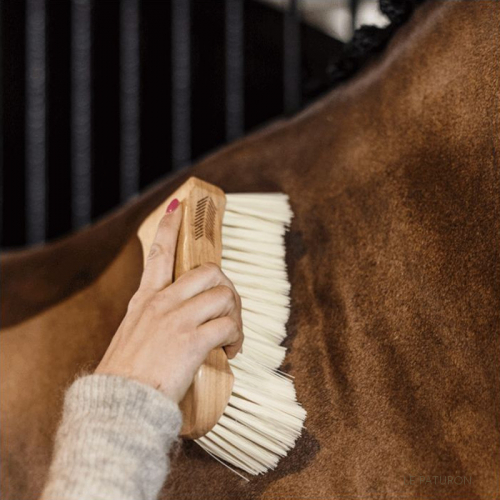 Grooming Deluxe Kentucky - Brosse demi douce cheval - Le Paturon