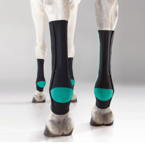 EquiCrown Active Compression Cheval