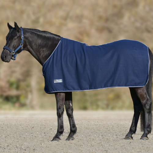 Chemise polaire cheval Economic sans sursangles Waldhausen