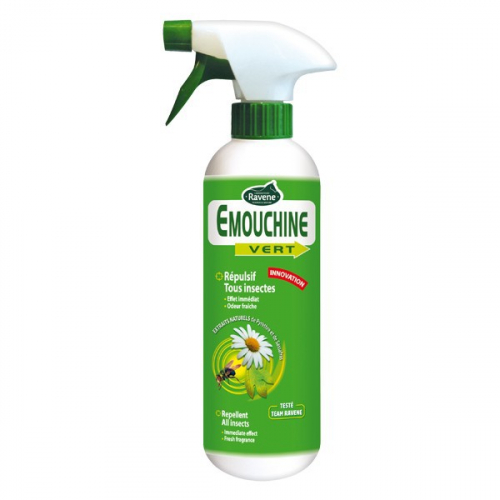 Emouchine Vert insecte cheval Ravene