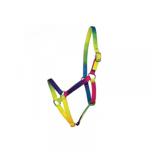 Licol nylon cheval Arc en ciel Waldhausen