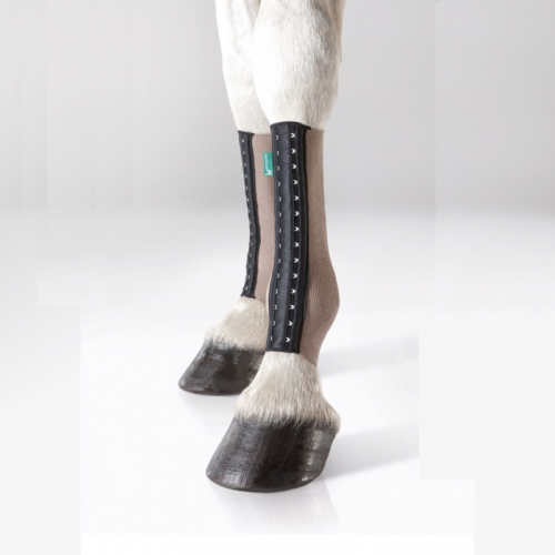 EquiCrown Fit Silver Compression Cheval