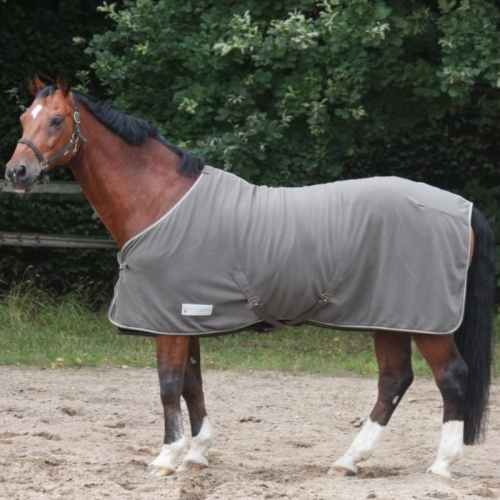 Chemise polaire cheval Economic avec sursangles Waldhausen