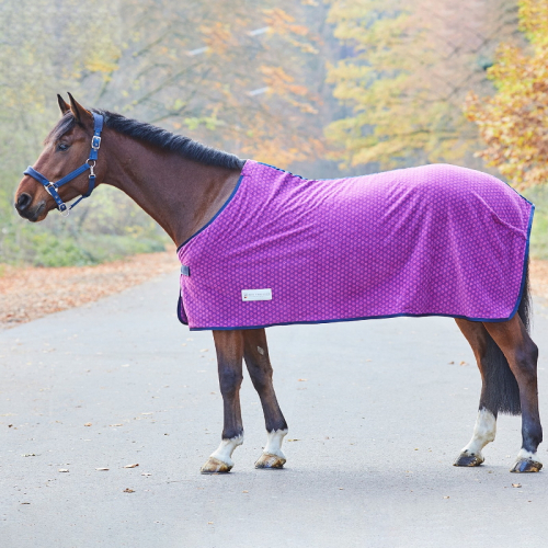 Chemise polaire cheval Unicorn impression coeurs Waldhausen