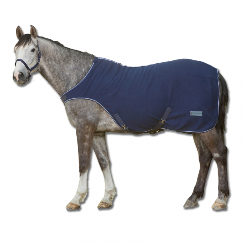 Chemise cheval marcheur polaire Economic Waldhausen