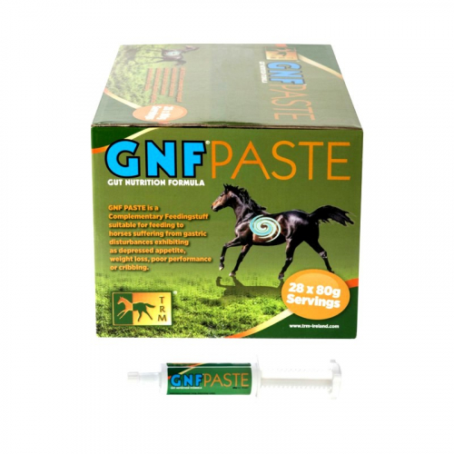 GNF Paste cheval gastriques 28 x 80 g