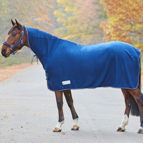 Chemise polaire cheval Economic avec encolure Waldhausen