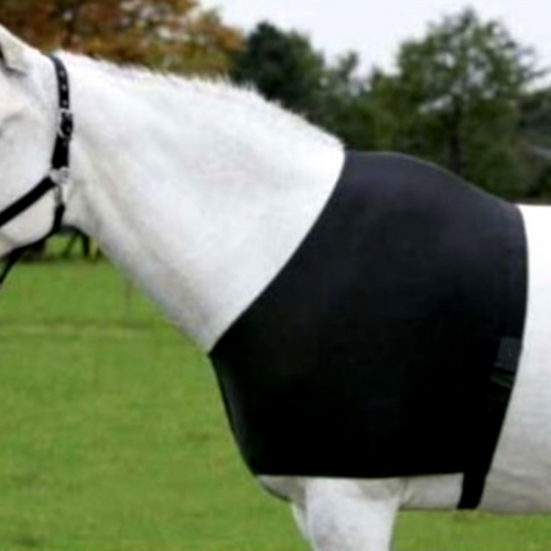 Protection épaules Waldhausen cheval Comfort Vest