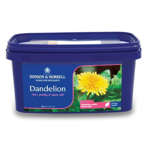 Drainage pissentlit cheval Dandelion