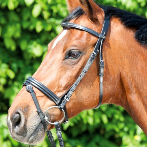 Bridon cheval Apart cuir muserolle combinée