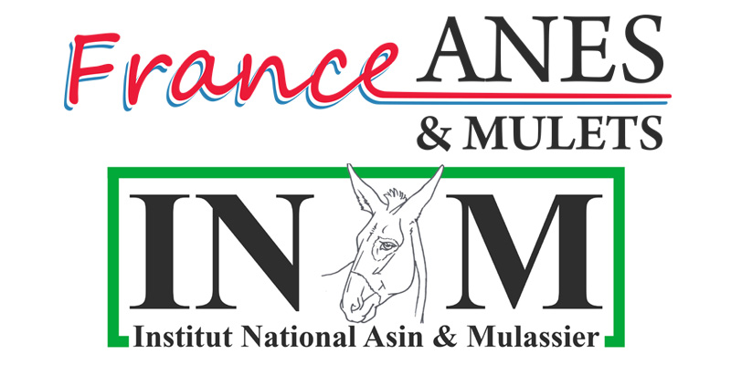 France Ânes & Mulets / Institut National Âsin & Mulassier